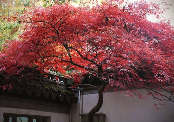 1632275353888269.jpg 1632275353888269.jpg