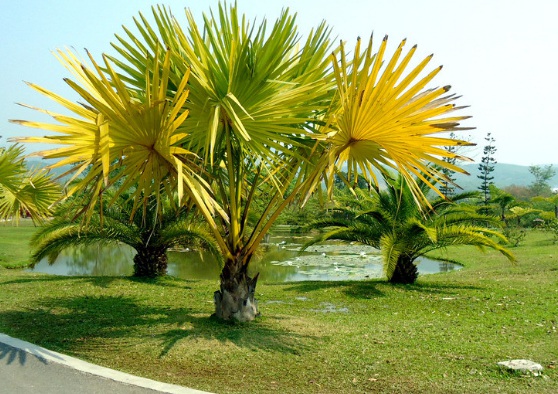 1632277124351642.jpg image.jpg