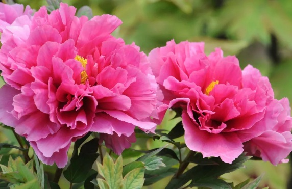 1632277248281014.jpg 1632277248281014.jpg