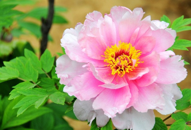 1632277262863540.jpg 1632277262863540.jpg