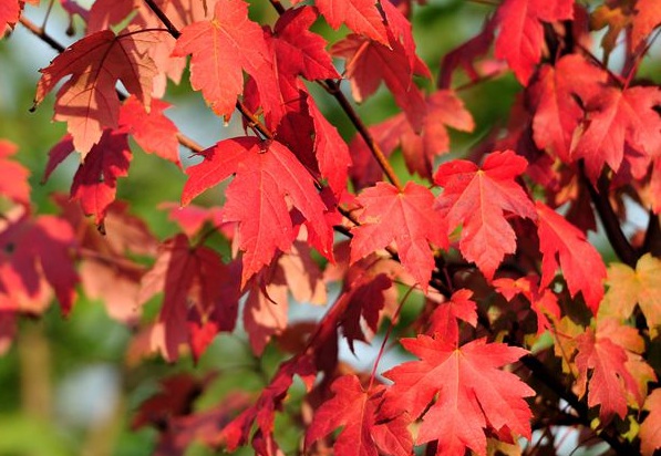 1632277381147802.jpg 1632277381147802.jpg