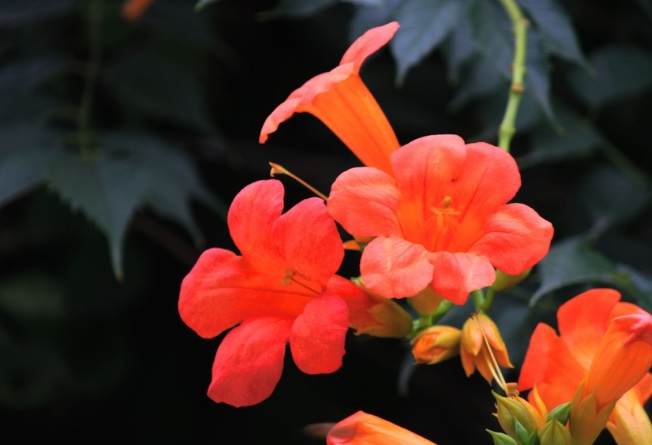 1632282655998937.jpg 1632282655998937.jpg