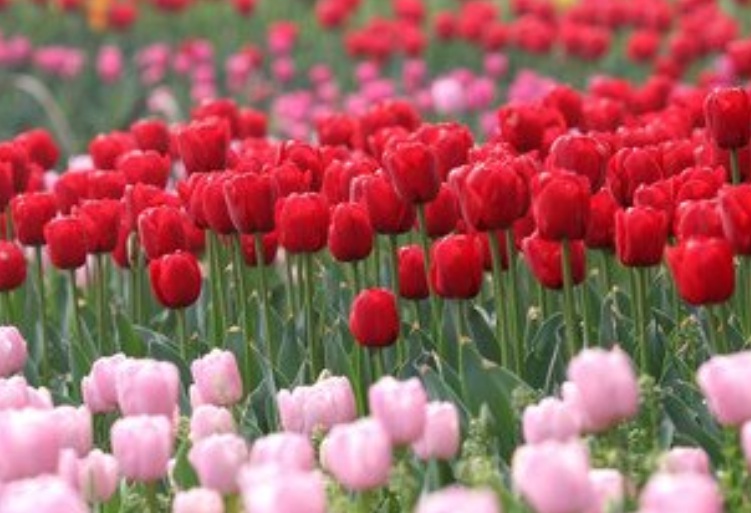 1632286138819633.jpg 1632286138819633.jpg