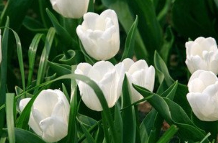 1632286158701933.jpg 1632286158701933.jpg