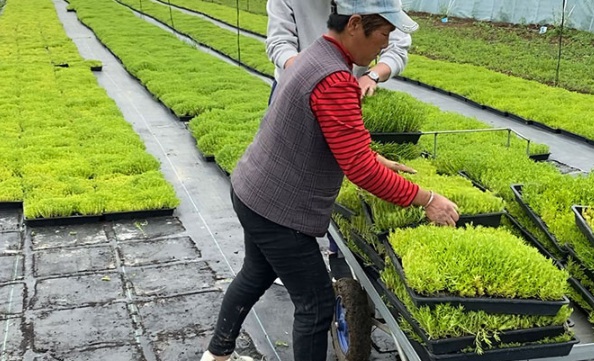 1632287714329209.jpg image.jpg