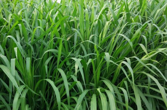 1632288044739558.jpg image.jpg