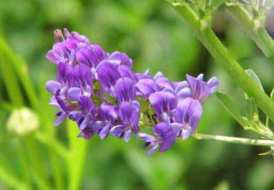 1632288097110002.jpg image.jpg