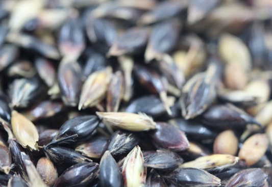 1632289410331026.jpg image.jpg