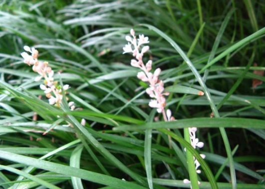 1632289720212057.jpg image.jpg