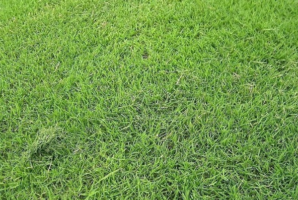 1632289931380878.jpg image.jpg