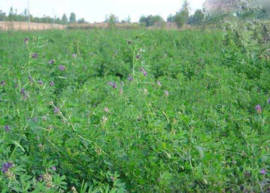 1632290061419978.jpg image.jpg