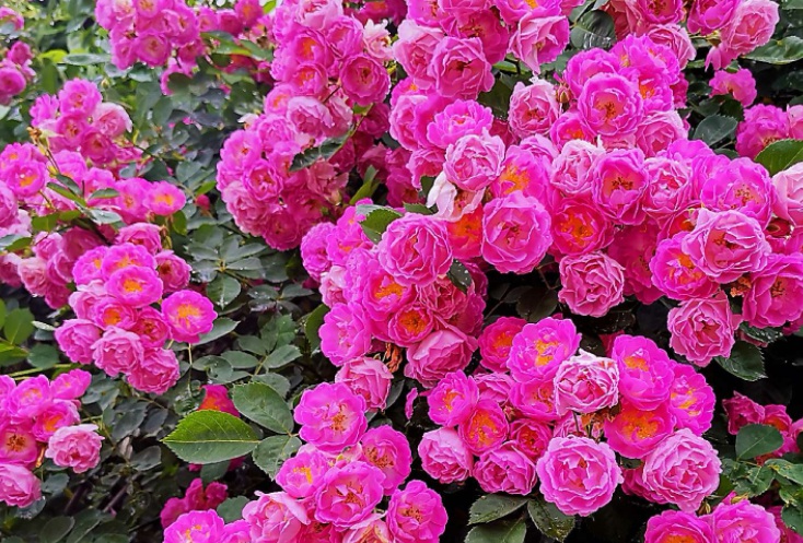 1632290867664291.jpg 1632290867664291.jpg