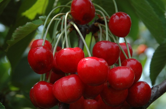 1632291409508791.jpg 1632291409508791.jpg