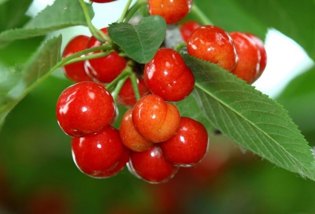 1632291880896942.jpg 1632291880896942.jpg