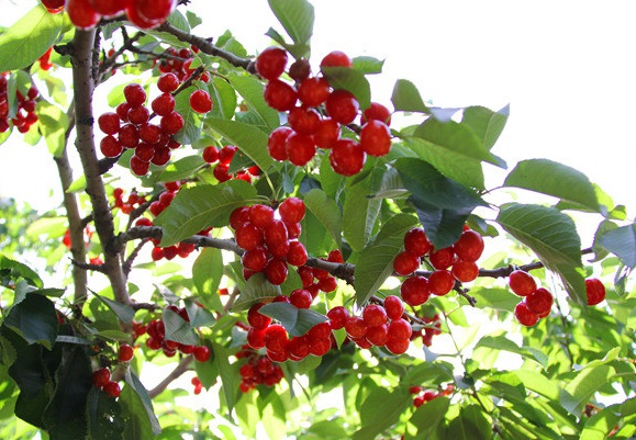 1632291889194445.jpg 1632291889194445.jpg