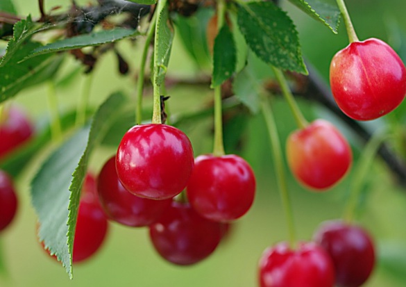 1632291901690470.jpg 1632291901690470.jpg