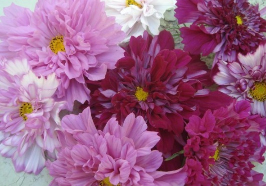 1632293685263004.jpg image.jpg