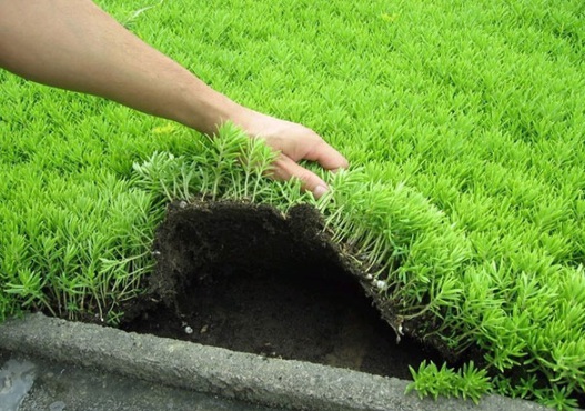 1632294509618036.jpg image.jpg