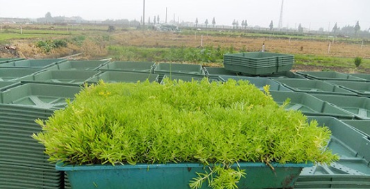 1632294520238120.jpg image.jpg