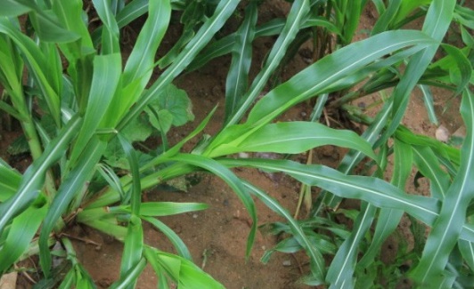 1632294587790441.jpg image.jpg