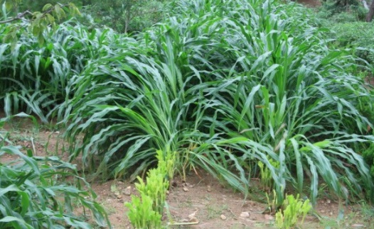 1632294655133822.jpg image.jpg