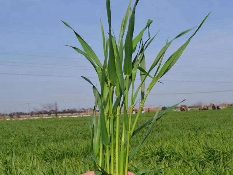 1632315882424798.jpg 1632315882424798.jpg