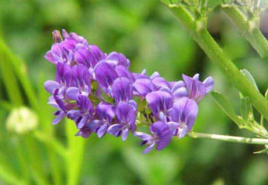 1632364565821357.jpg image.jpg