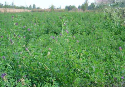 1632364574363395.jpg image.jpg