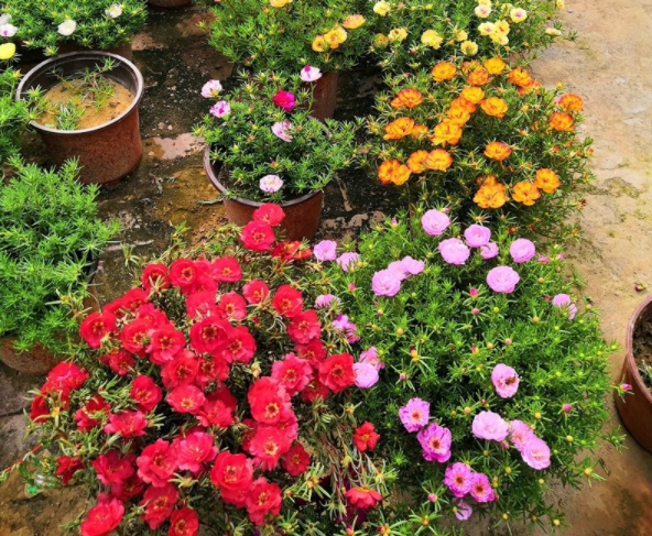 1632364770364302.jpg image.jpg