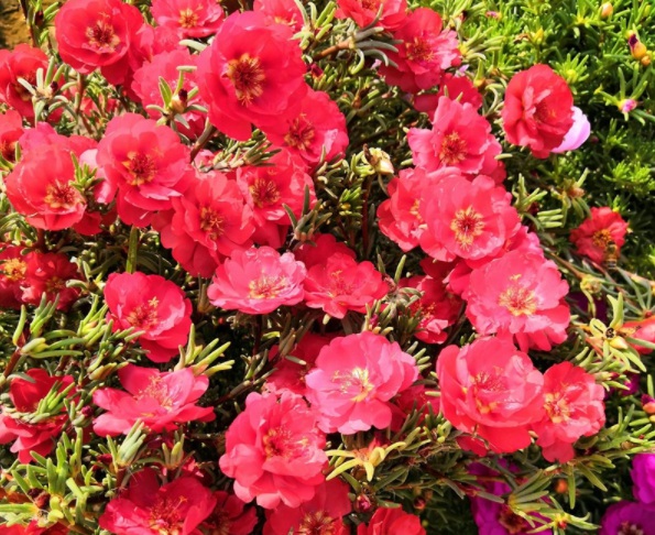 1632365069820708.jpg image.jpg