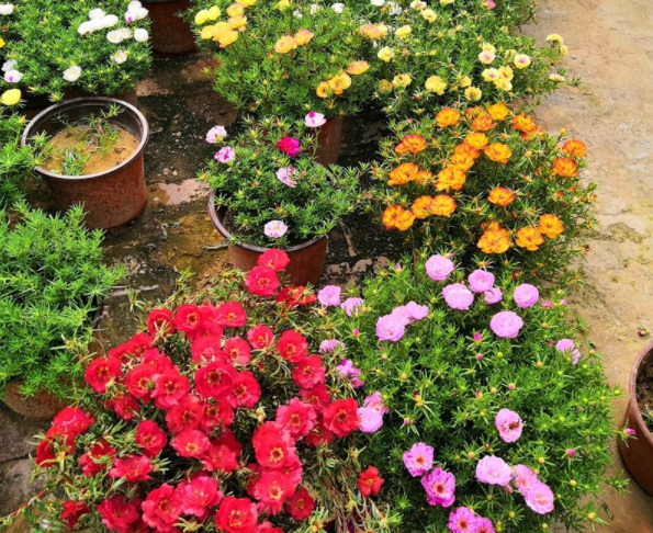 1632365089451332.jpg image.jpg