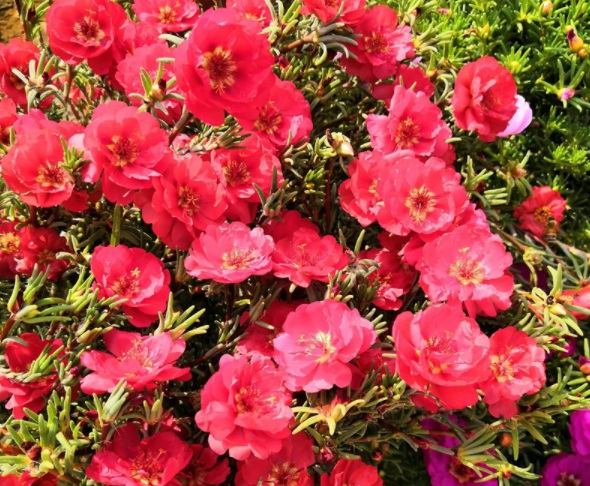 1632365762220283.jpg image.jpg