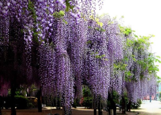 1632366723133907.jpg image.jpg