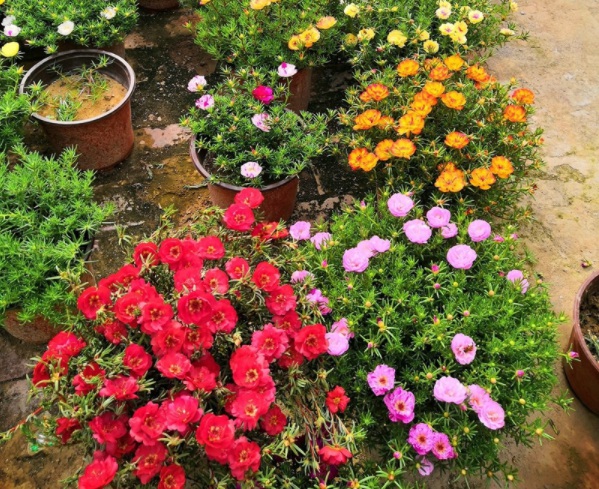 1632377915104165.jpg image.jpg