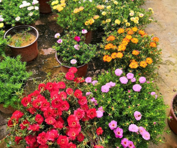 1632378539663148.jpg image.jpg