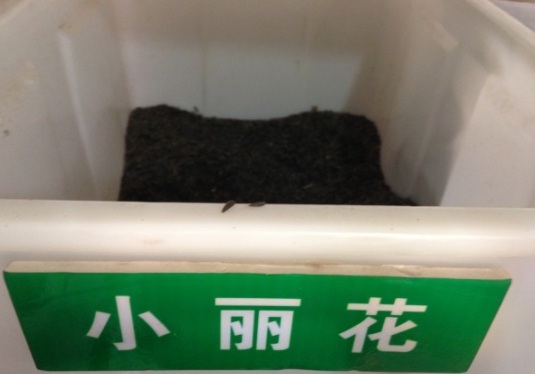 1632379014797594.jpg image.jpg