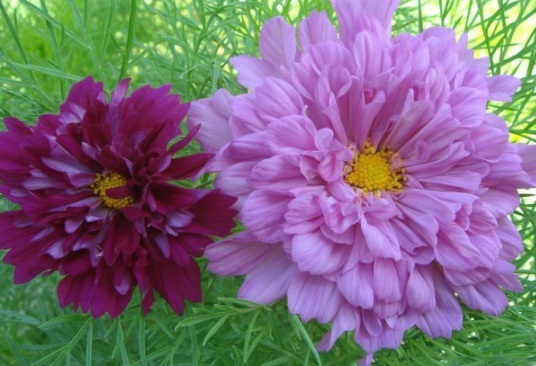 1632379215110715.jpg 1632379215110715.jpg