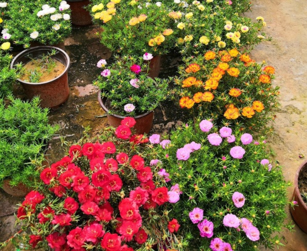 1632379535623011.jpg image.jpg