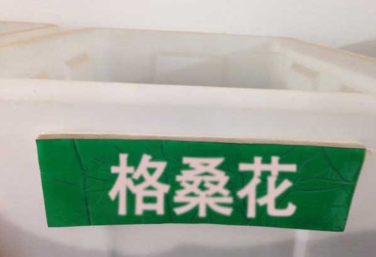 1632380984147965.jpg image.jpg