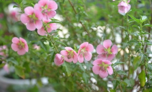 1632450521224436.jpg image.jpg