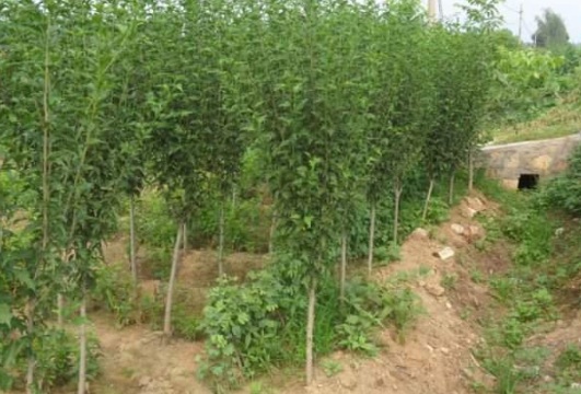 1632450531924580.jpg image.jpg