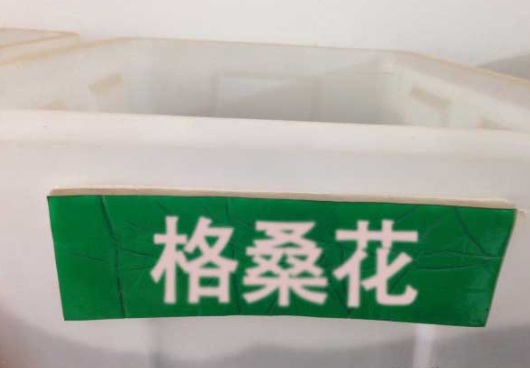 1632451061314183.jpg image.jpg