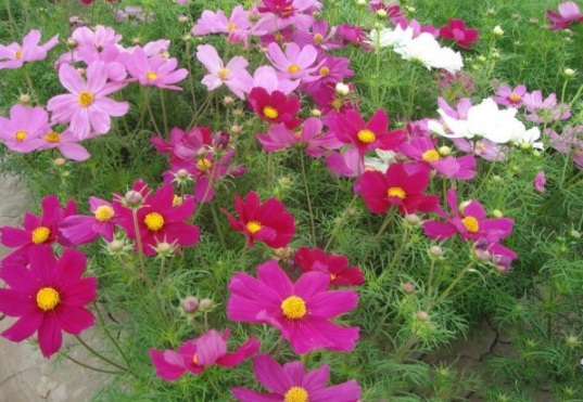 1632451078109394.jpg image.jpg