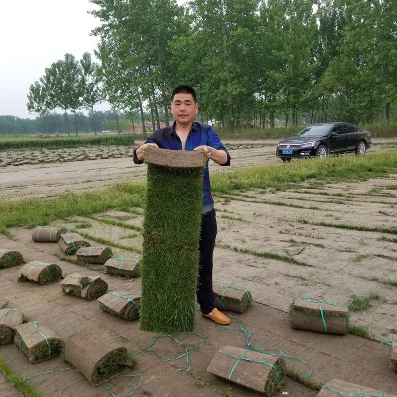 1632486577861261.jpg 1dcaaa6532775a7fe0bd4ab560926f47_1584584171831441.jpg