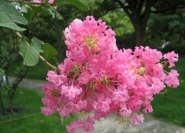 1632580756424260.jpg image.jpg