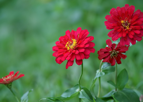 1632581593953531.jpg image.jpg