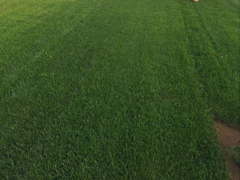 1632669208515749.jpg 9f9c28981b0fecfe4e265bc53c029990_1591075766977068.jpg