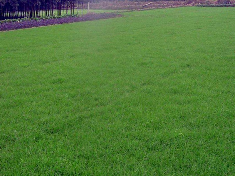 1632669496109634.jpg 5c7de08a6f4a5fef70a3b8846dbf0fd8_1591075766770897.jpg