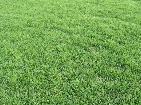 1632720768116196.jpg 85f1313adf88f9a3dbd738d32dcb19eb_1527301520819987.jpg