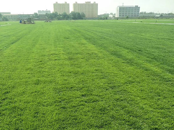 1632720785873864.jpg 67cfa6c7859b28c5bda73b4be4fb44e0_1527301521277753.jpg